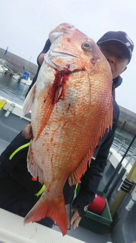 サンマリン 釣果