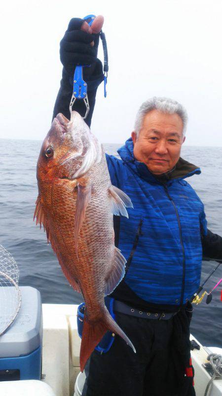 ブルドック 釣果