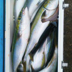 ブルドック 釣果