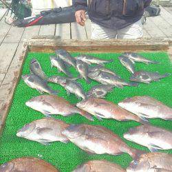 海の釣堀 海恵 釣果