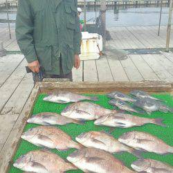 海の釣堀 海恵 釣果