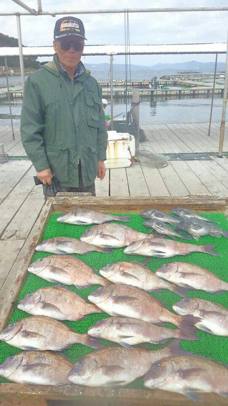 海の釣堀 海恵 釣果