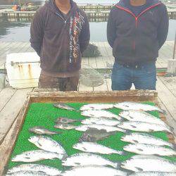海の釣堀 海恵 釣果