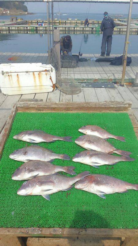 海の釣堀 海恵 釣果