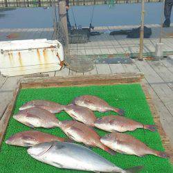 海の釣堀 海恵 釣果
