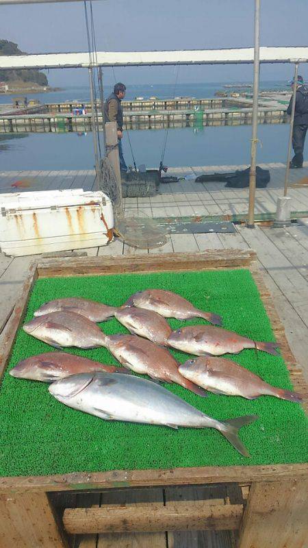 海の釣堀 海恵 釣果