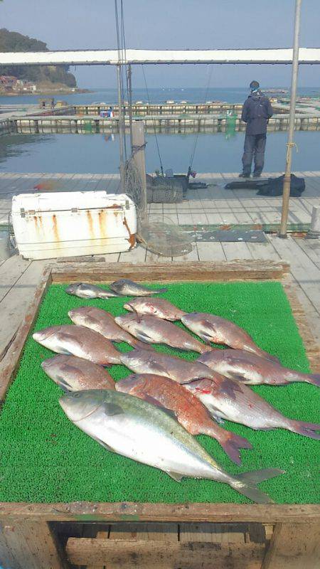 海の釣堀 海恵 釣果