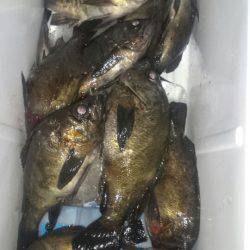 FISHING RISKY 釣果