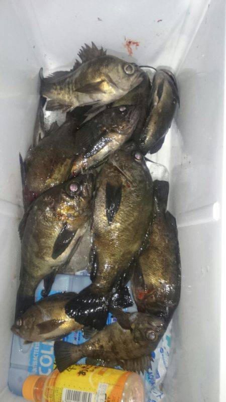 FISHING RISKY 釣果