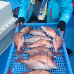 第三共栄丸 釣果