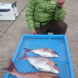 第三共栄丸 釣果