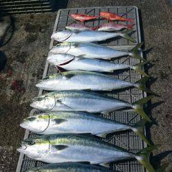 ARCADIAⅡ (アルカディアⅡ) 釣果