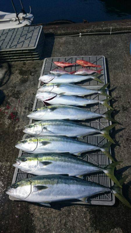 ARCADIAⅡ （アルカディアⅡ） 釣果…