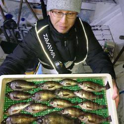 釣人家 釣果