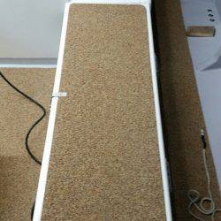 金沢八景鴨下丸 釣果