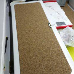 金沢八景鴨下丸 釣果