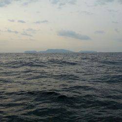 金沢八景鴨下丸 釣果