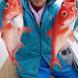 金沢八景鴨下丸 釣果