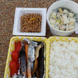 金沢八景鴨下丸 釣果