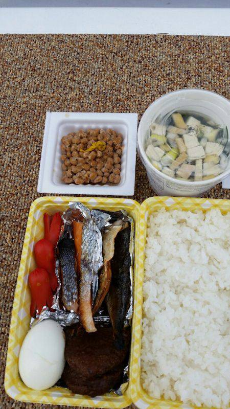 金沢八景鴨下丸 釣果