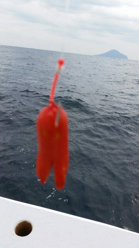 金沢八景鴨下丸 釣果