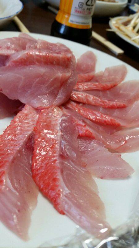 金沢八景鴨下丸 釣果