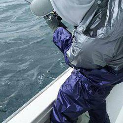 タイラバ遊漁船 ワンピース 釣果