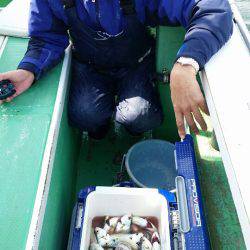 金沢八景鴨下丸 釣果