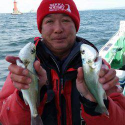 金沢八景鴨下丸 釣果