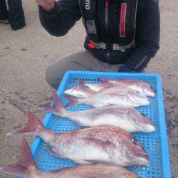 第三共栄丸 釣果