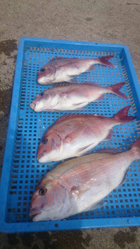 第三共栄丸 釣果