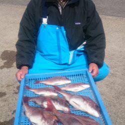 第三共栄丸 釣果