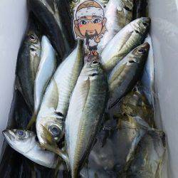 金沢八景鴨下丸 釣果