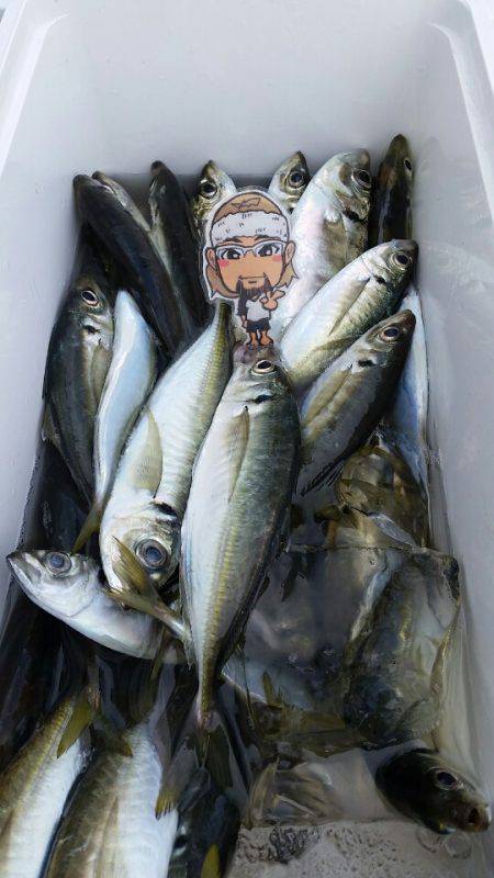 金沢八景鴨下丸 釣果