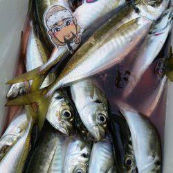 金沢八景鴨下丸 釣果