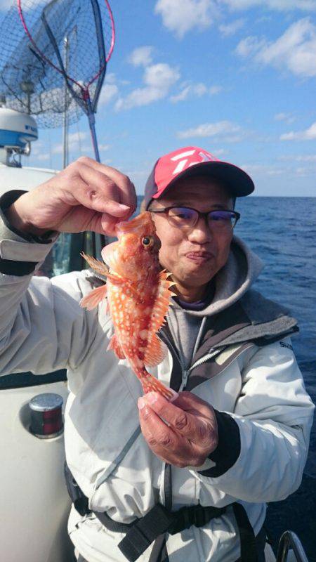 ARCADIAⅡ (アルカディアⅡ) 釣果