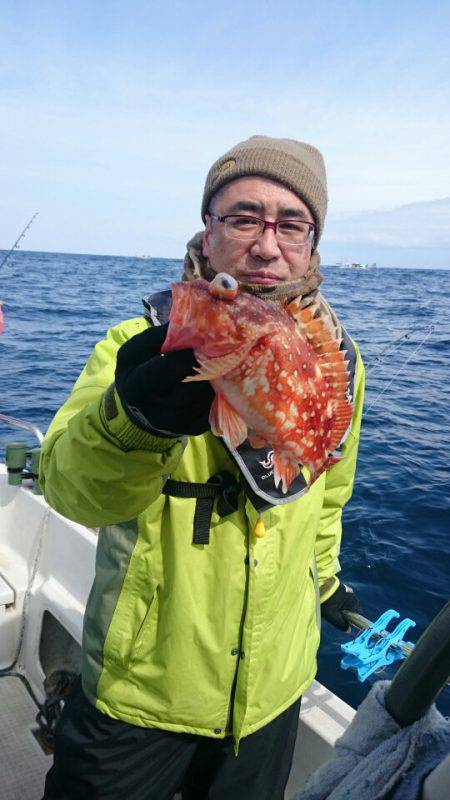 ARCADIAⅡ (アルカディアⅡ) 釣果