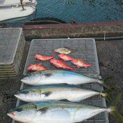 ARCADIAⅡ (アルカディアⅡ) 釣果