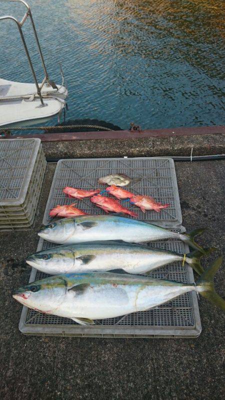 ARCADIAⅡ (アルカディアⅡ) 釣果