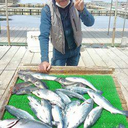 海の釣堀 海恵 釣果