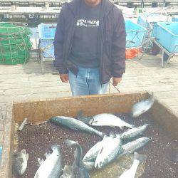 海の釣堀 海恵 釣果