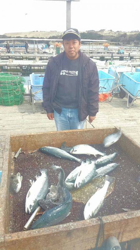 海の釣堀 海恵 釣果