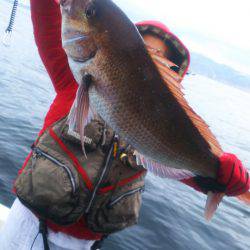 ブルドック 釣果