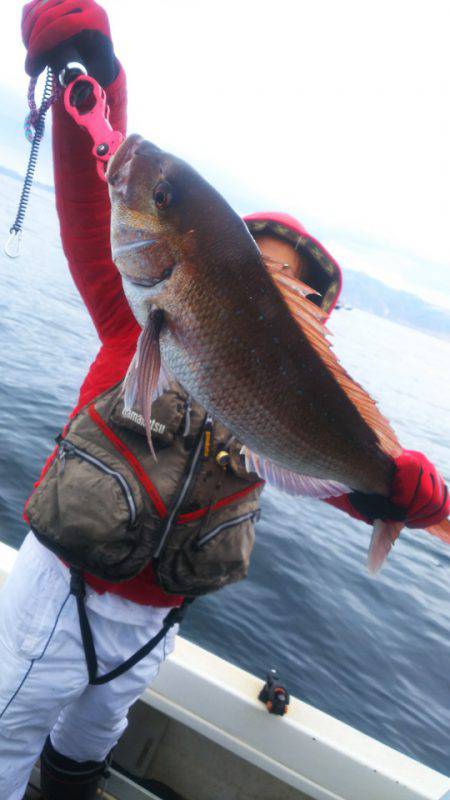 ブルドック 釣果