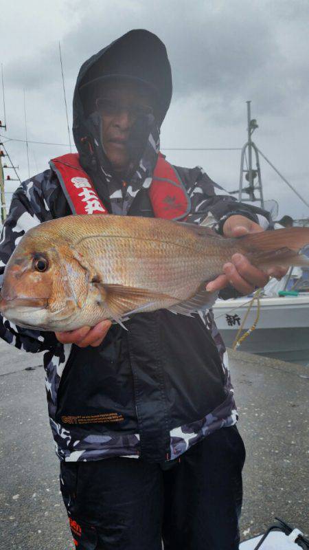 富士丸 釣果