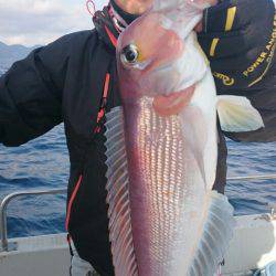 ARCADIAⅡ (アルカディアⅡ) 釣果