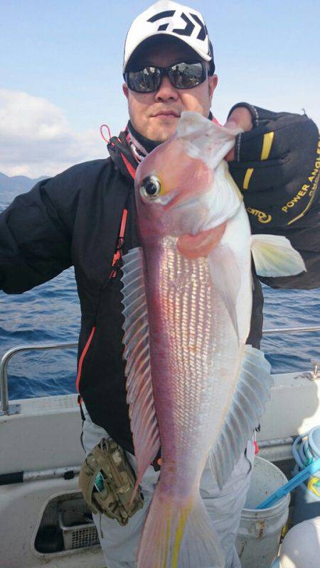 ARCADIAⅡ (アルカディアⅡ) 釣果