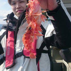 ARCADIAⅡ (アルカディアⅡ) 釣果