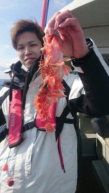 ARCADIAⅡ (アルカディアⅡ) 釣果