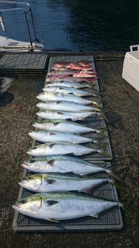 ARCADIAⅡ (アルカディアⅡ) 釣果